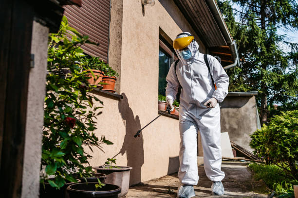 Best Flea Control Services  in Bothell West, WA