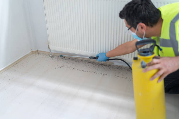 Best Ant Control Services  in Bothell West, WA
